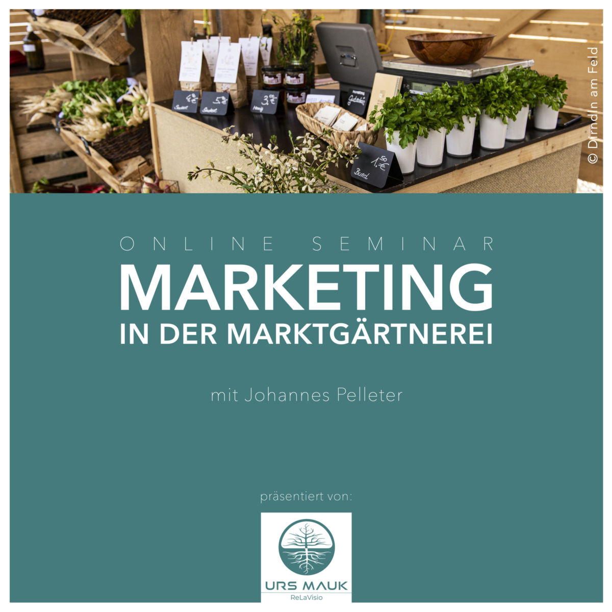 Online-Seminare 2021 | Marketing in der Marktgärtnerei | Grafik PNG