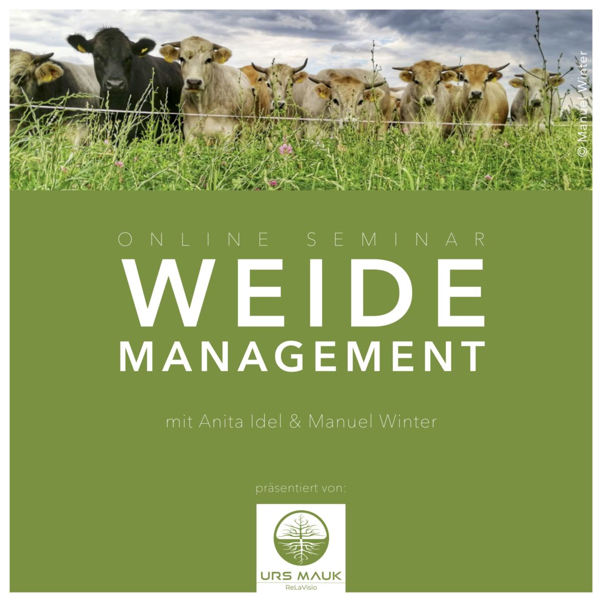 Online-Seminare 2021 | Weidemanagement | Grafik