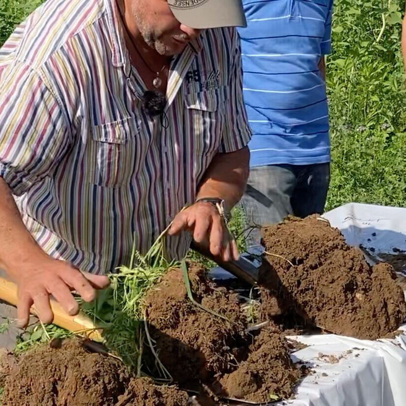 Einführungskurs Regenerative Landwirtschaft - Spatenprobe Feldtag