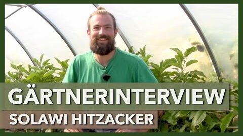 0,8ha Marktgärtnerei – Einstieg, Erfahrungen, Empfehlungen | SoLaWi Hitzacker | Gärtnerinterview