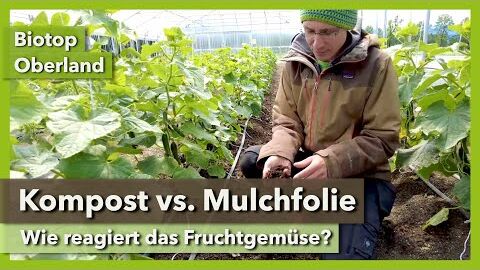 10cm Kompost vs. Mulchfolie im Gewächshaus | Biotop Oberland | Rundgang 6 | 2022