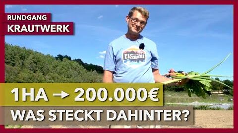 200.000€ Umsatz aus 1ha Marktgärtnerei | Krautwerk | Rundgang 3