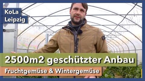 2500m2 geschützter Anbau – Fruchtgemüse & Wintergemüse | KoLa Leipzig | Rundgang 4 | 2021