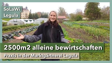 2500m2 Market Garden alleine bewirtschaften | SoLaWi Legula | Rundgang 1 | 2022