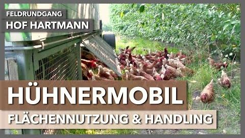 7 Hühnermobile auf 10ha – Flächennutzung & Handling | Hof Hartmann | Feldrundgang 4