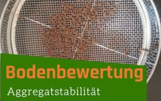 Aggregatstabilität – einfacher Test zum Selbermachen | Bodenfruchtbarkeit bewerten | Bodenbewertung