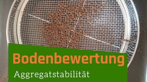 Aggregatstabilität – einfacher Test zum Selbermachen | Bodenfruchtbarkeit bewerten | Bodenbewertung