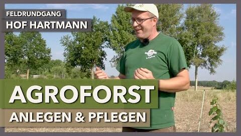 Agroforst anlegen & pflegen | Hof Hartmann | Feldrundgang 1