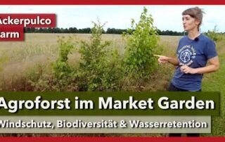 Agroforst in der Marktgärtnerei – Windschutz, Vielfalt, Wasser | Ackerpulco Farm | Rundgang 7 | 2023