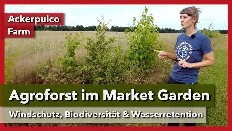 Agroforst in der Marktgärtnerei – Windschutz, Vielfalt, Wasser | Ackerpulco Farm | Rundgang 7 | 2023