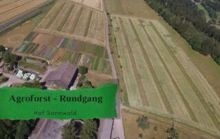 Agroforst | Systemvorstellung | Wildobst | Wertholz | Hof Sonnwald (2020)