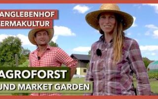 Agroforst und Flächenvorbereitung im Market Garden | LangLebenHof Permakultur | Rundgang 1