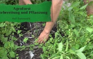 Agroforst | Vorbereitung | Pflanzung | Pflanzenhilfsstoffe | Hof Sonnwald