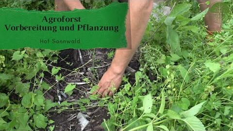 Agroforst | Vorbereitung | Pflanzung | Pflanzenhilfsstoffe | Hof Sonnwald