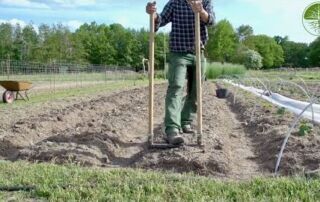 Anzucht mit eigenem Kompost | Spezial-Broadfork | Mulch im Gemüsebau | Solawi Hofgarten Lemgrabe