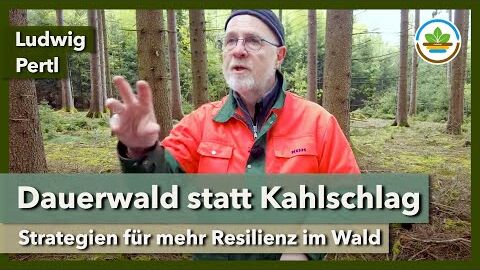 Aufbau eines resilienten Dauerwaldes in Zeiten des Klimawandels | IG Gesunder Boden | Waldtag 2024