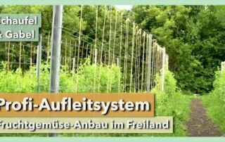 Aufleitsystem für den Freilandanbau von Tomaten, Gurken usw. | Schaufel & Gabel | Rundgang 2 | 2021