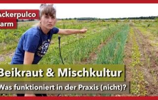 Beikraut & Mischkultur – Was funktioniert in der Praxis? | Ackerpulco Farm | Rundgang 5 | 2023