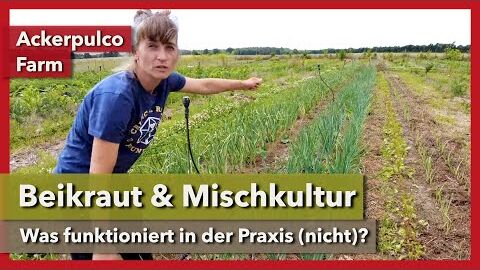 Beikraut & Mischkultur – Was funktioniert in der Praxis? | Ackerpulco Farm | Rundgang 5 | 2023