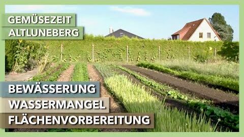 Bewässerung, Wassermangel, Flächenvorbereitung | Gemüsezeit Altluneberg | Rundgang 3 | 2021