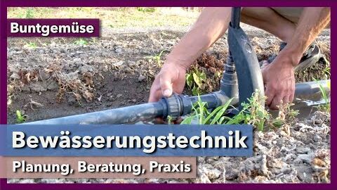 Bewässerungstechnik – Planung, Beratung, Praxis | Buntgemüse | Rundgang 3 | 2021