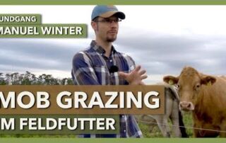 Beweidung von Feldfutter mit Mob Grazing | Manuel Winter | Masterarbeit & Rundgang 1