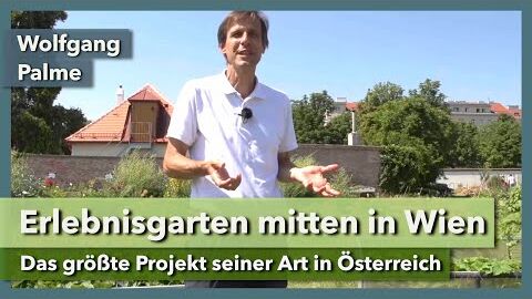 Bio-Erlebnisgarten mitten in der Stadt | Wolfgang Palme & City Farm | Rundgang 1 | 2021