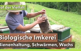 Bio-Imkerei – Bienenhaltung, Schwärmen, Wachskreislauf | Hof der Vielfalt | Rundgang 6