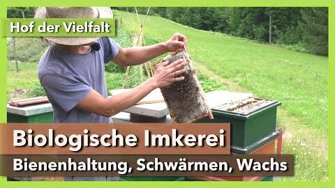 Bio-Imkerei – Bienenhaltung, Schwärmen, Wachskreislauf | Hof der Vielfalt | Rundgang 6