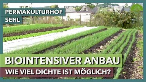 Biointensiver Anbau – was auf kleiner Fläche alles möglich ist | Permakulturhof Sehl | Rundgang 2