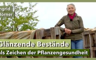 Blattglanz als wichtiges Zeichen der Pflanzengesundheit | Ingrid Hörner | Teil 3