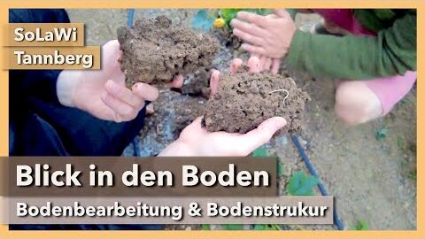 Blick in den Boden – Bodenbearbeitung & Bodenstruktur | Rundgang 2 | SoLaWi Tannberg | 2021