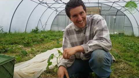 Boden im Gewächshaus und Bodenfruchtbarkeit | Market Gardening | Jonas Machnik