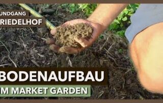Bodenaufbau im Market Garden – Kompost, Gründüngung, Technik | SoLaWi am Friedelhof | Rundgang 2