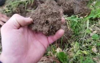 Bodenstruktur und der Regenwurm | Market Gardening und Bodenfruchtbarkeit | Jonas Machnik,