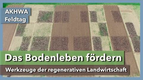 Das Bodenleben fördern – mit regenerativer Landwirtschaft | Deborah Henzel | AKWAH Feldtag | 2023