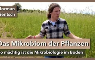 Das einzigartige Mikrobiom der Pflanzen | Dr. Norman Gentsch | SoilEvolution 2021