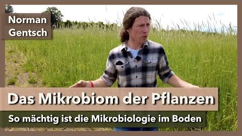 Das einzigartige Mikrobiom der Pflanzen | Dr. Norman Gentsch | SoilEvolution 2021