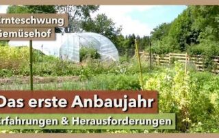 Das erste Anbaujahr im Market Garden – Teil 1 | Ernteschwung | Rundgang 1 | 2021