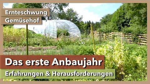 Das erste Anbaujahr im Market Garden – Teil 1 | Ernteschwung | Rundgang 1 | 2021