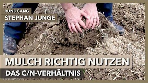 Das Potenzial von Mulch & warum das C/N-Verhältnis so wichtig ist | Stephan Junge | Rundgang 2