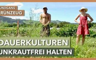 Dauerkulturen sauber vorbereiten & unkrautfrei halten | Krünzeug | Rundgang 4