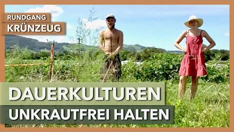 Dauerkulturen sauber vorbereiten & unkrautfrei halten | Krünzeug | Rundgang 4