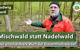 Dauermischwald – Gestaltung, Pflege, Wirtschaftlichkeit | IG Gesunder Boden | Waldtag 2024