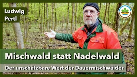 Dauermischwald – Gestaltung, Pflege, Wirtschaftlichkeit | IG Gesunder Boden | Waldtag 2024