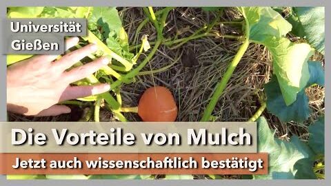 Die Vorteile von Mulch wissenschaftlich bestätigt | Universität Gießen | Rundgang 2 | 2021