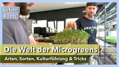 Die Welt der Microgreens – Arten, Sorten, Kulturführung | Urban Roots | Interview 4 | 2022