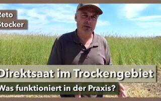 Direktsaat bei 400mm Niederschlag | Reto Stocker | Soilevolution 2021