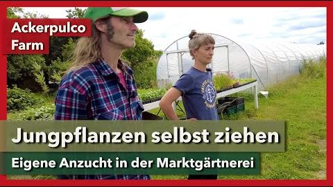 Eigene Jungpflanzenanzucht in der Marktgärtnerei | Ackerpulco Farm | Rundgang 3 | 2023