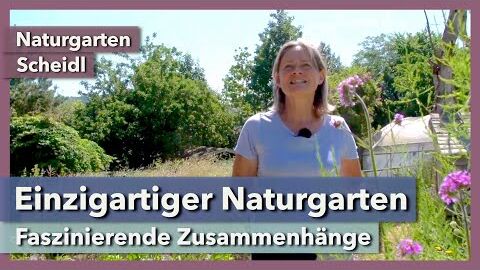 Einzigartiger Naturgarten – faszinierende Zusammenhänge | Naturgarten Scheidl | Rundgang 1 | 2021